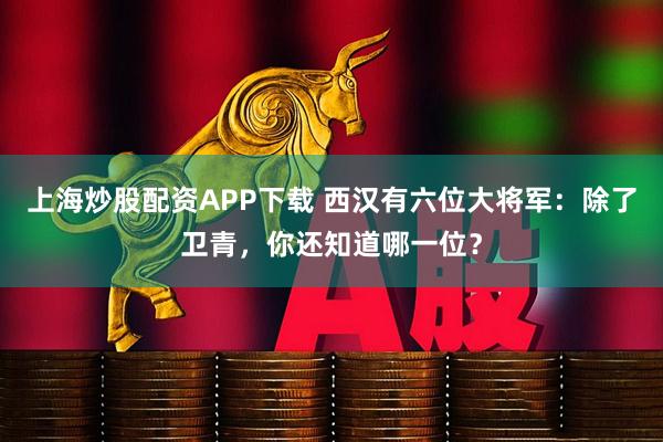 上海炒股配资APP下载 西汉有六位大将军:除了卫青,你还知道哪一位?