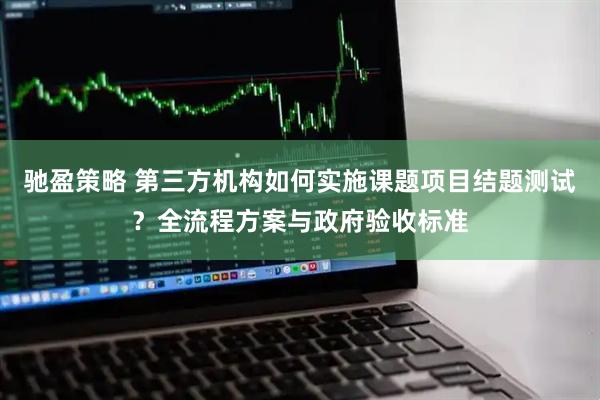 驰盈策略 第三方机构如何实施课题项目结题测试？全流程方案与政府验收标准